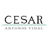 Negocio Cesar Zaragoza