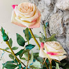 Tiendas de novia Seren Collection en Sevilla, Sevilla Inspiración, consejos y proveedores para organizar boda en España. Vestidos, fotógrafos, fincas en Bodas.vip. Seren Collection